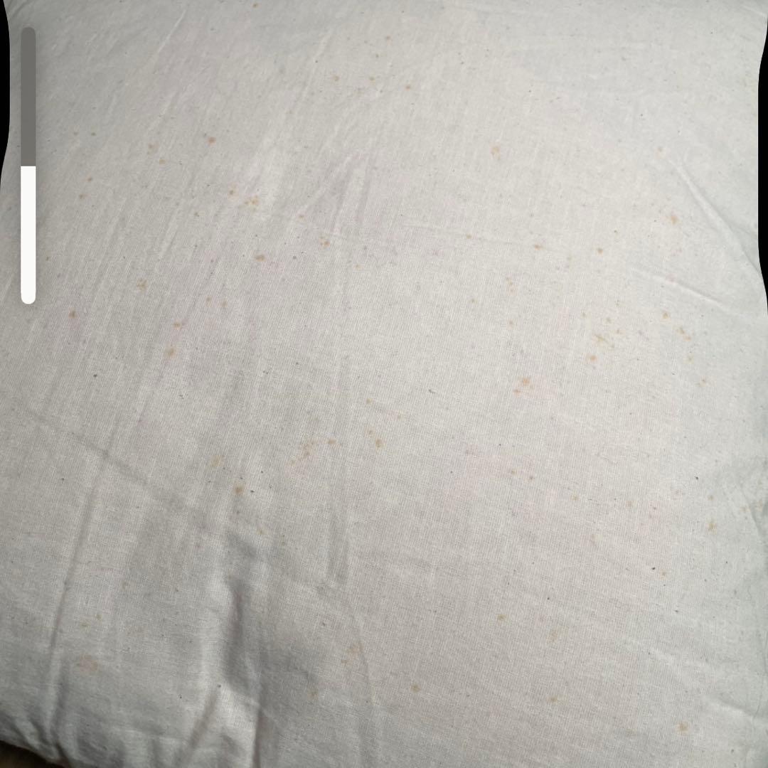 美品 MUNI ムニ絨毯 ラグ特大 クッション - メルカリ