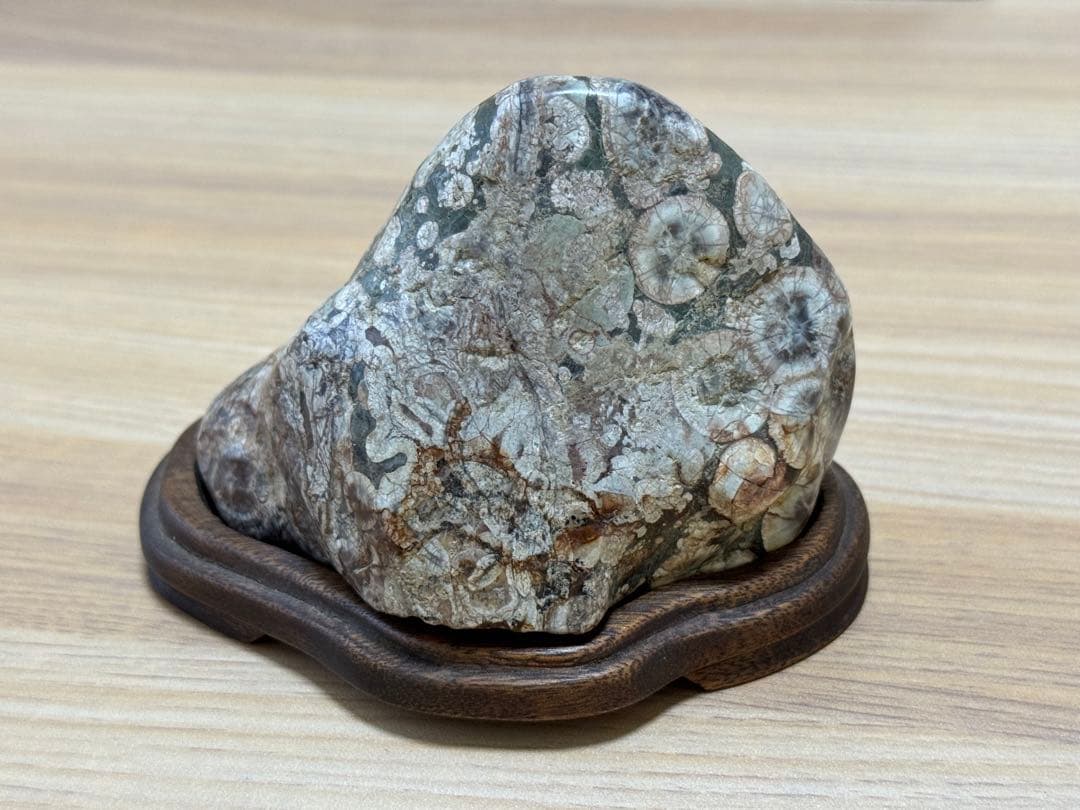 梅花石 鑑賞石 紋様石 花模様 花石 山型石 遠山石 緑石 天然石 インテリア