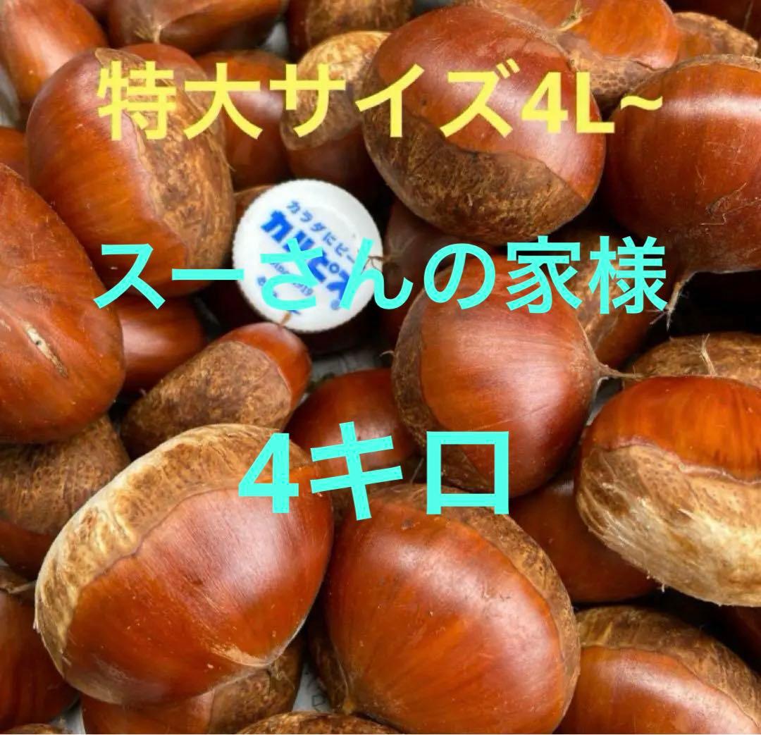 特大4Lサイズ 茨城県産 栗 生栗 - メルカリ