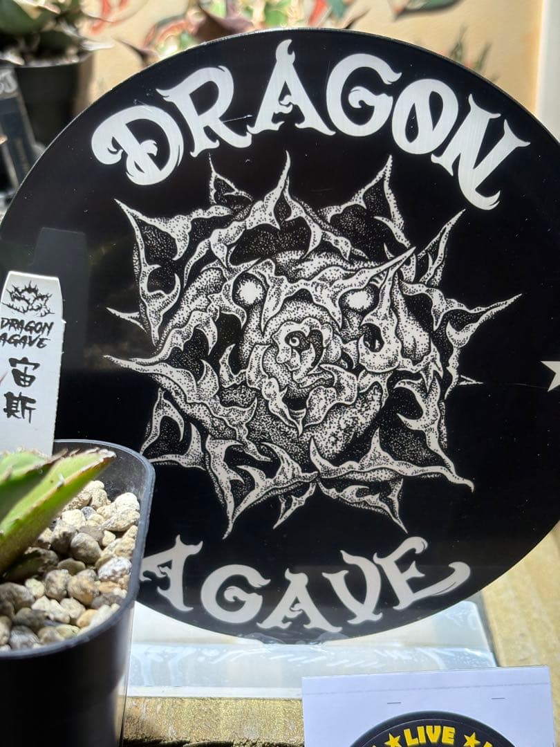アガベチタノタ 宙斯 ゼウス DragonAgave アクリルスタンド付き