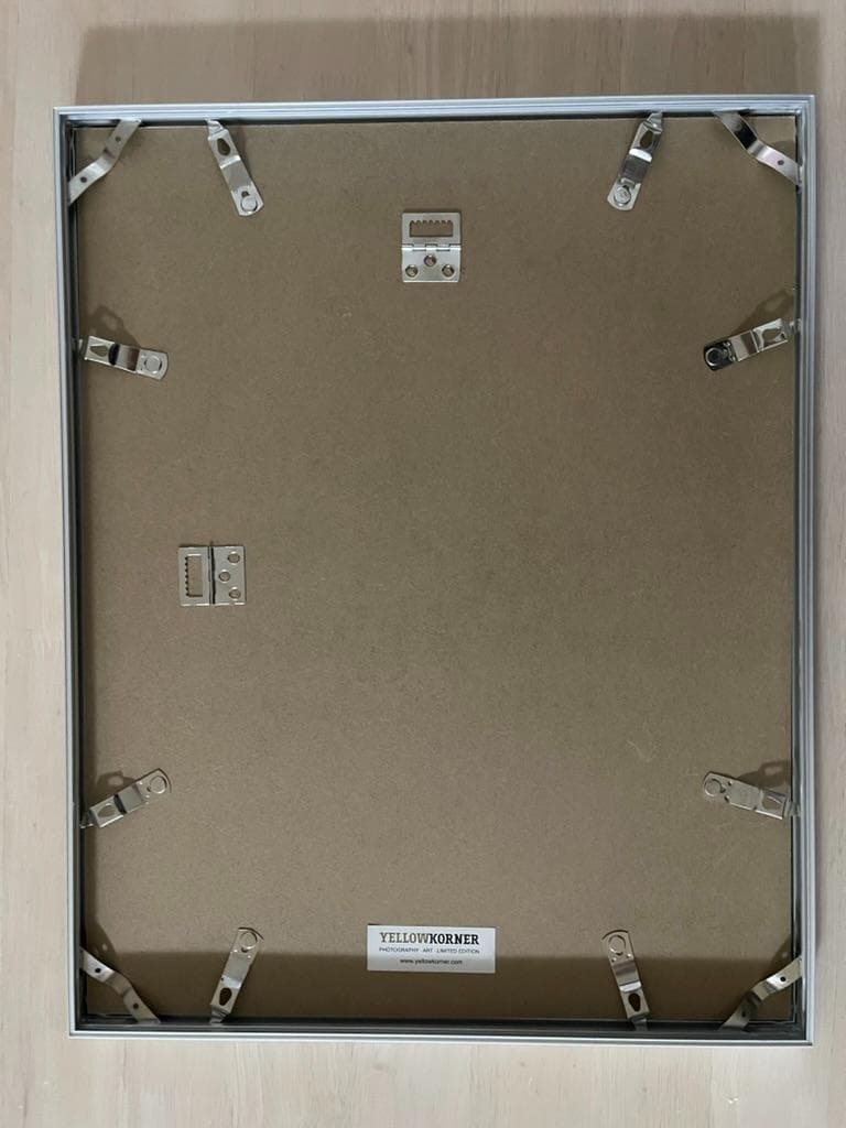 限定】イエローコーナー アート写真 ライオン ペドロ・ハルケ