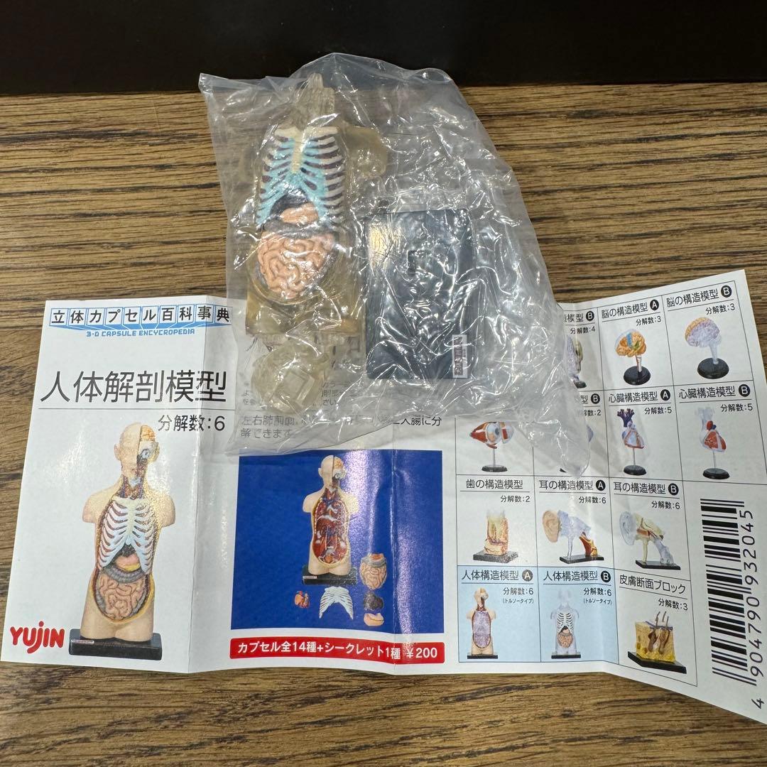 フルコンプ】YUJIN 人体解剖図鑑 15個セット - メルカリ