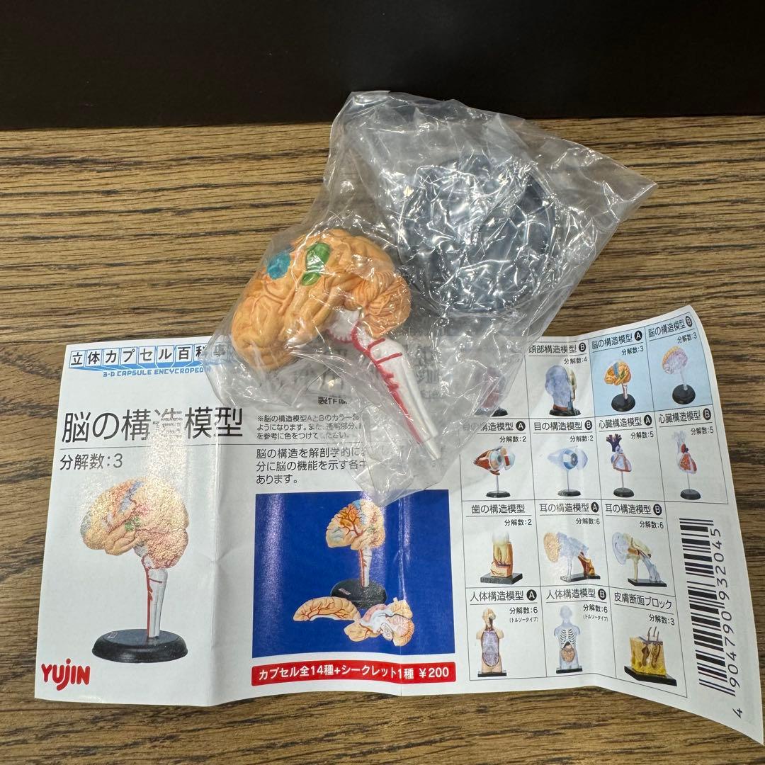 フルコンプ】YUJIN 人体解剖図鑑 15個セット - メルカリ
