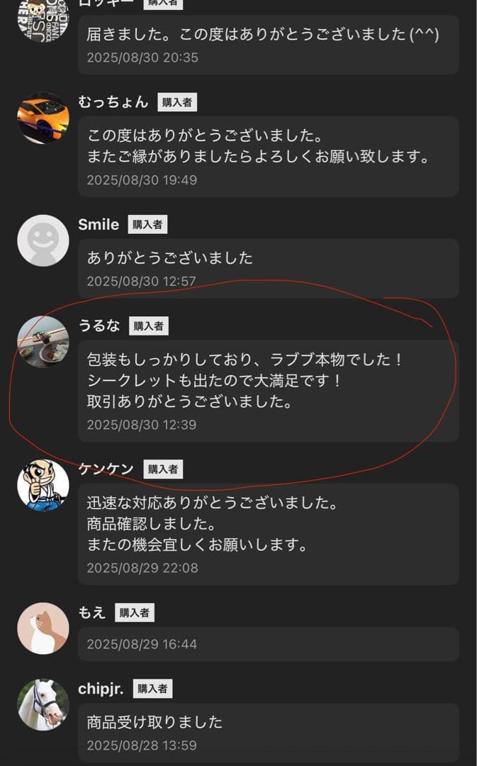 【正規品・未開封】Labubu Big into Energy 3箱