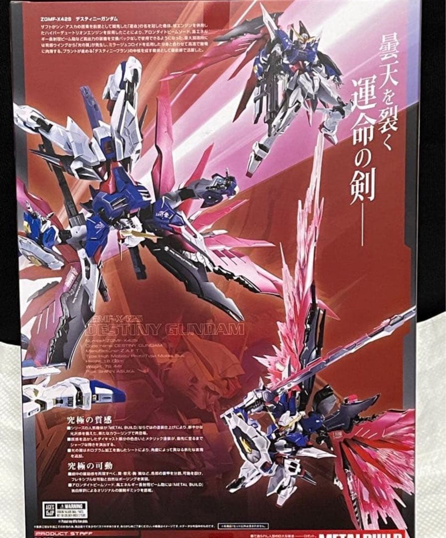 デスティニーガンダムフルパッケージL BUILDFESTIVAL2024