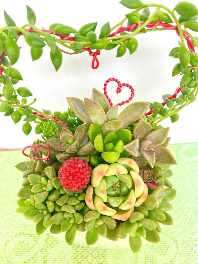 多肉寄せ植え♡グリーンネックレス