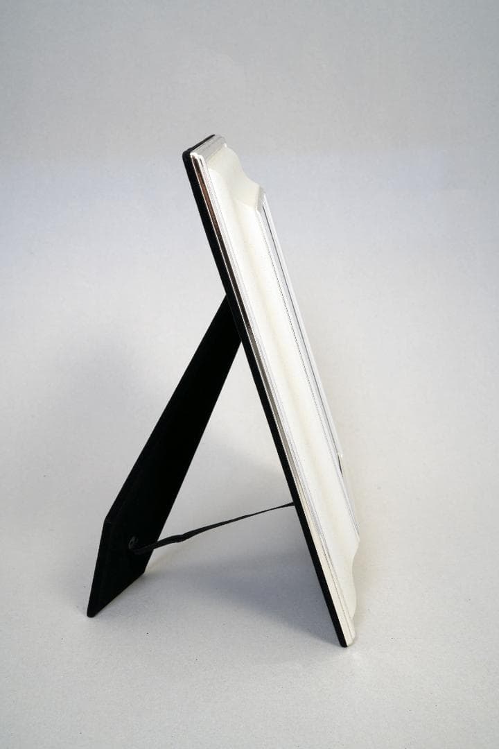 よてこさん専用　フジカラーフォトスタンド　464XK　つや消しメタル　2L　新品