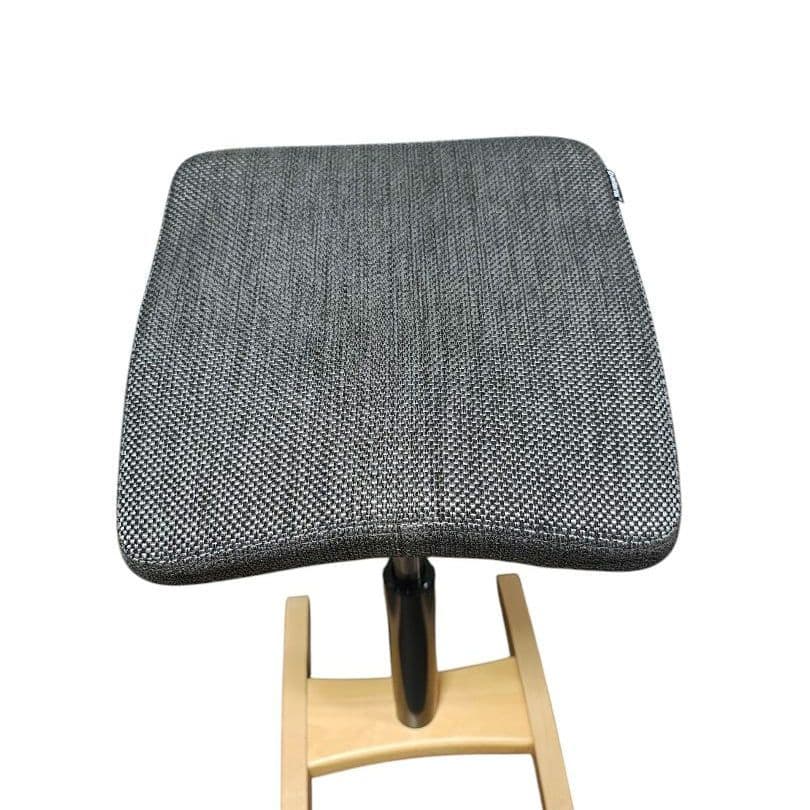 Balans Synergy バランス シナジー スクエアシート 専用カバー付