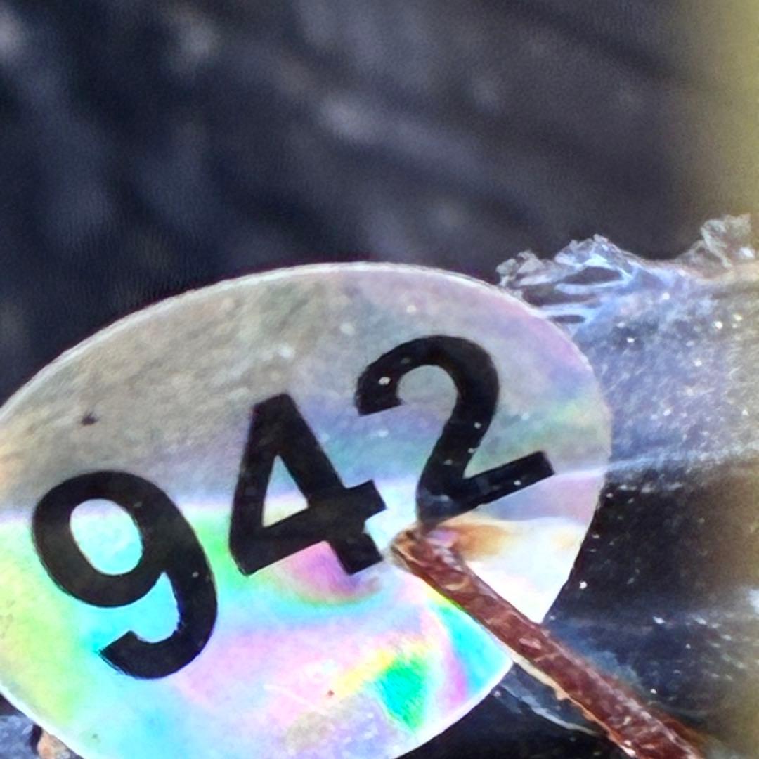 ま*️様 ☘️超レア☘️根充実❤️ワサワサ元気株❤️⭐️超透明感⭐️極上⭐️【蜃