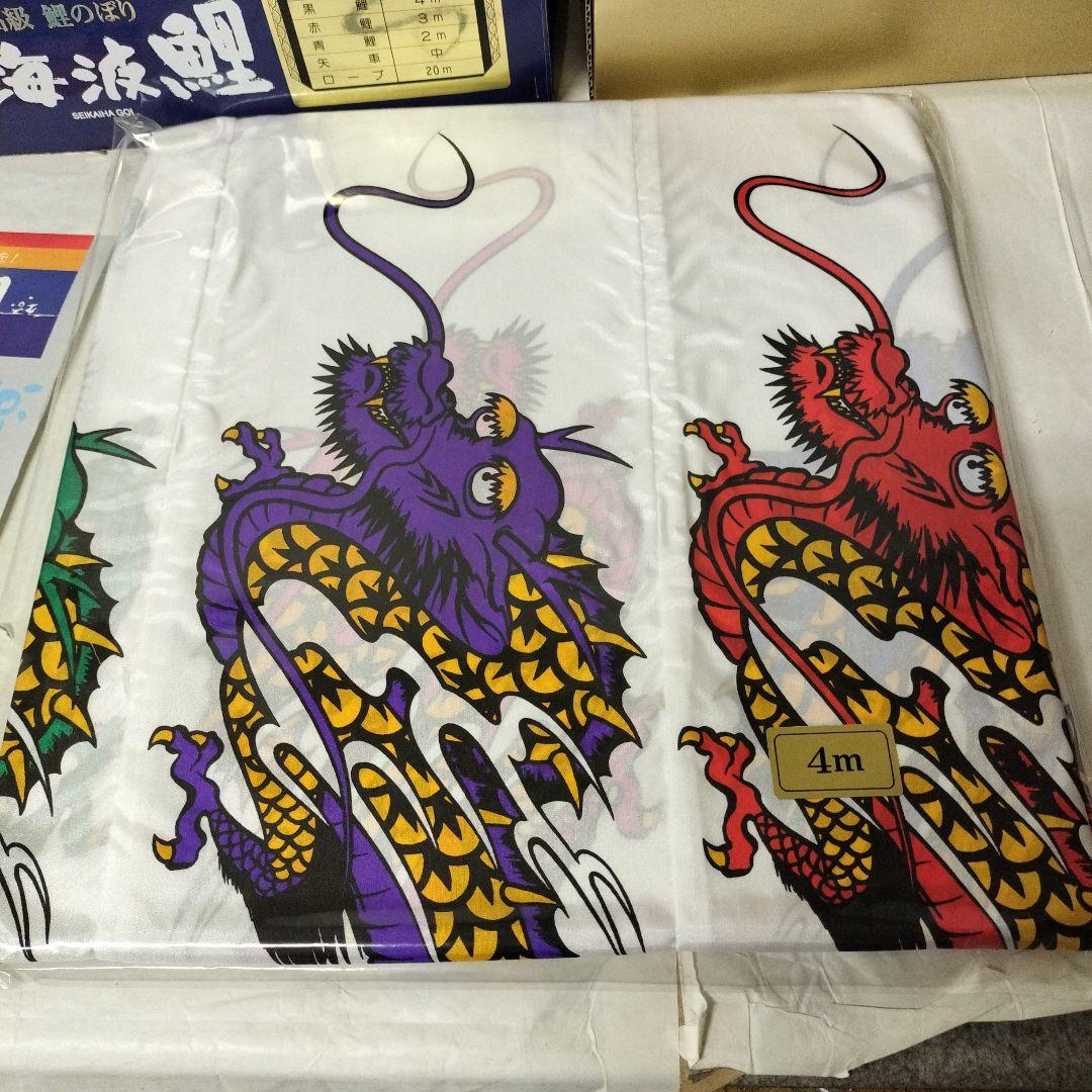 4M青海波鯉　雲龍吹き流し