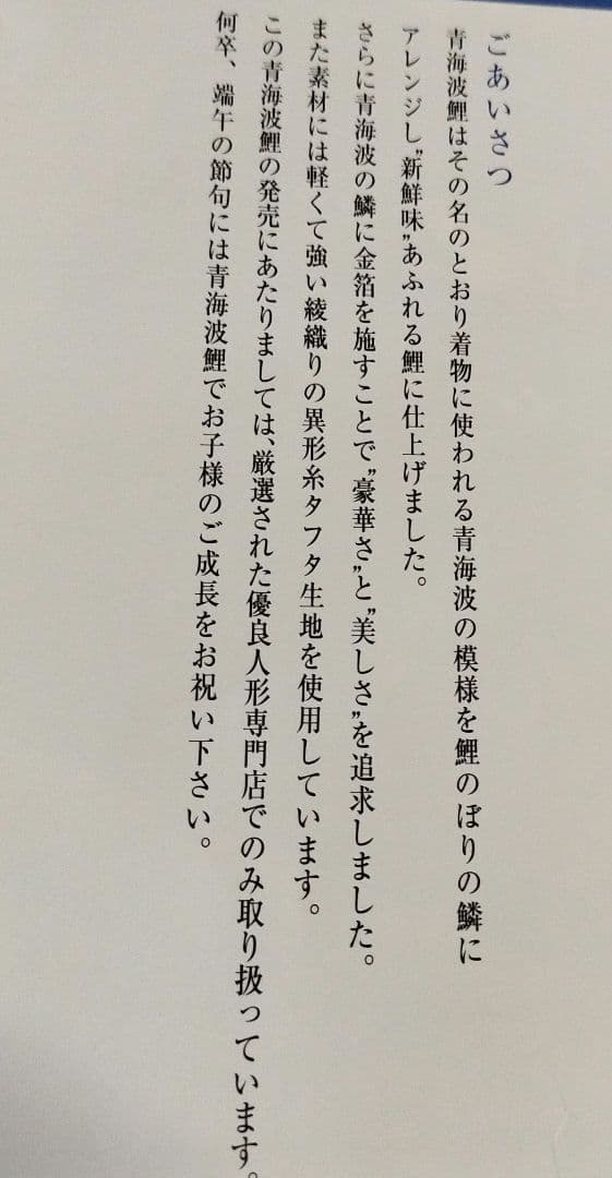 4M青海波鯉　雲龍吹き流し