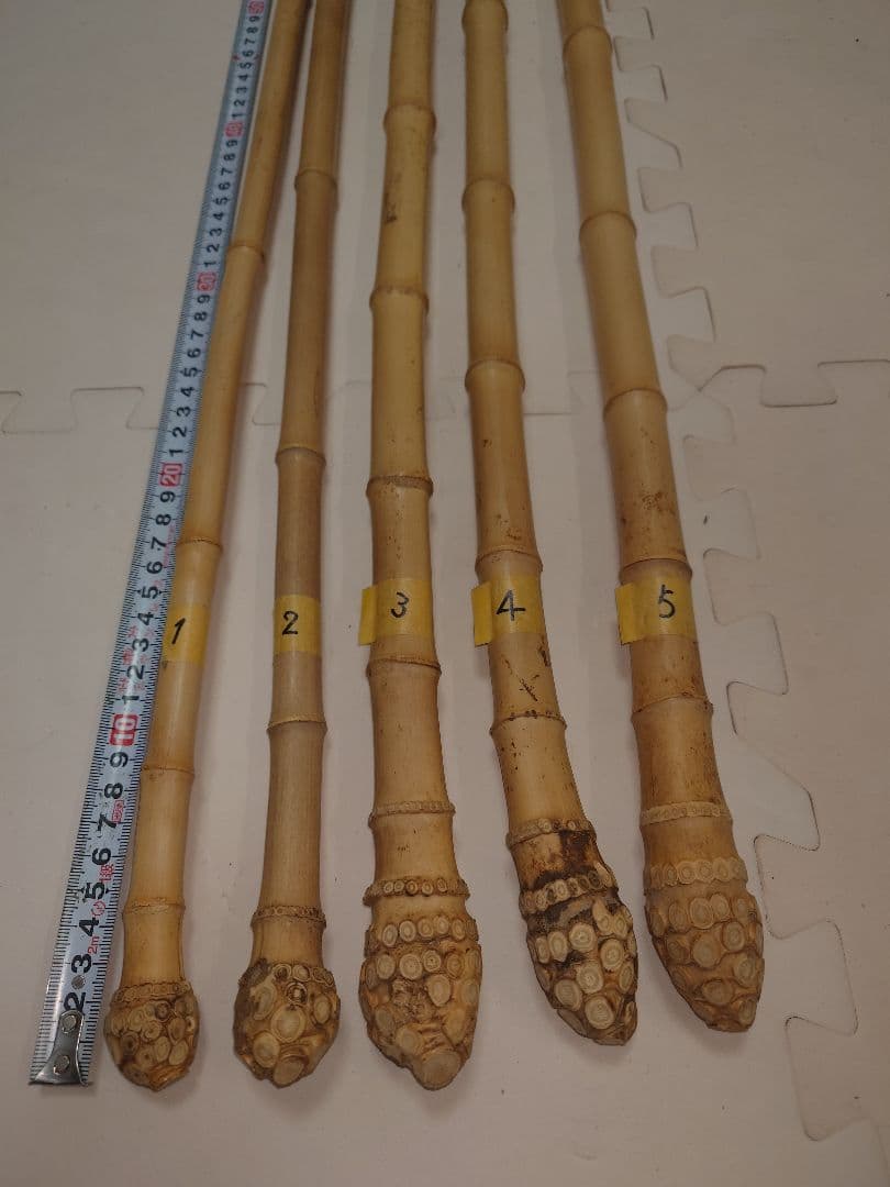 すもももももももものうち　様　確認ページ❗