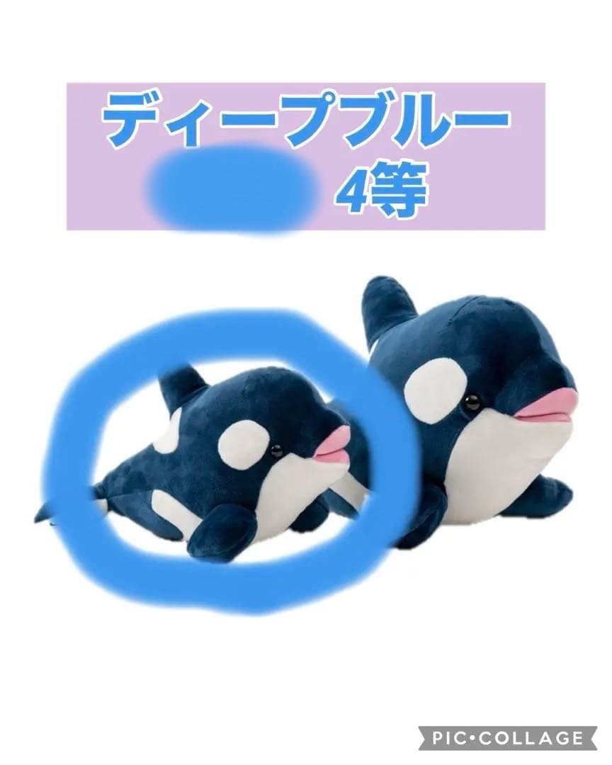 神戸須磨シーワールド オルカくじ ディープブルー 4等 神戸須磨海浜