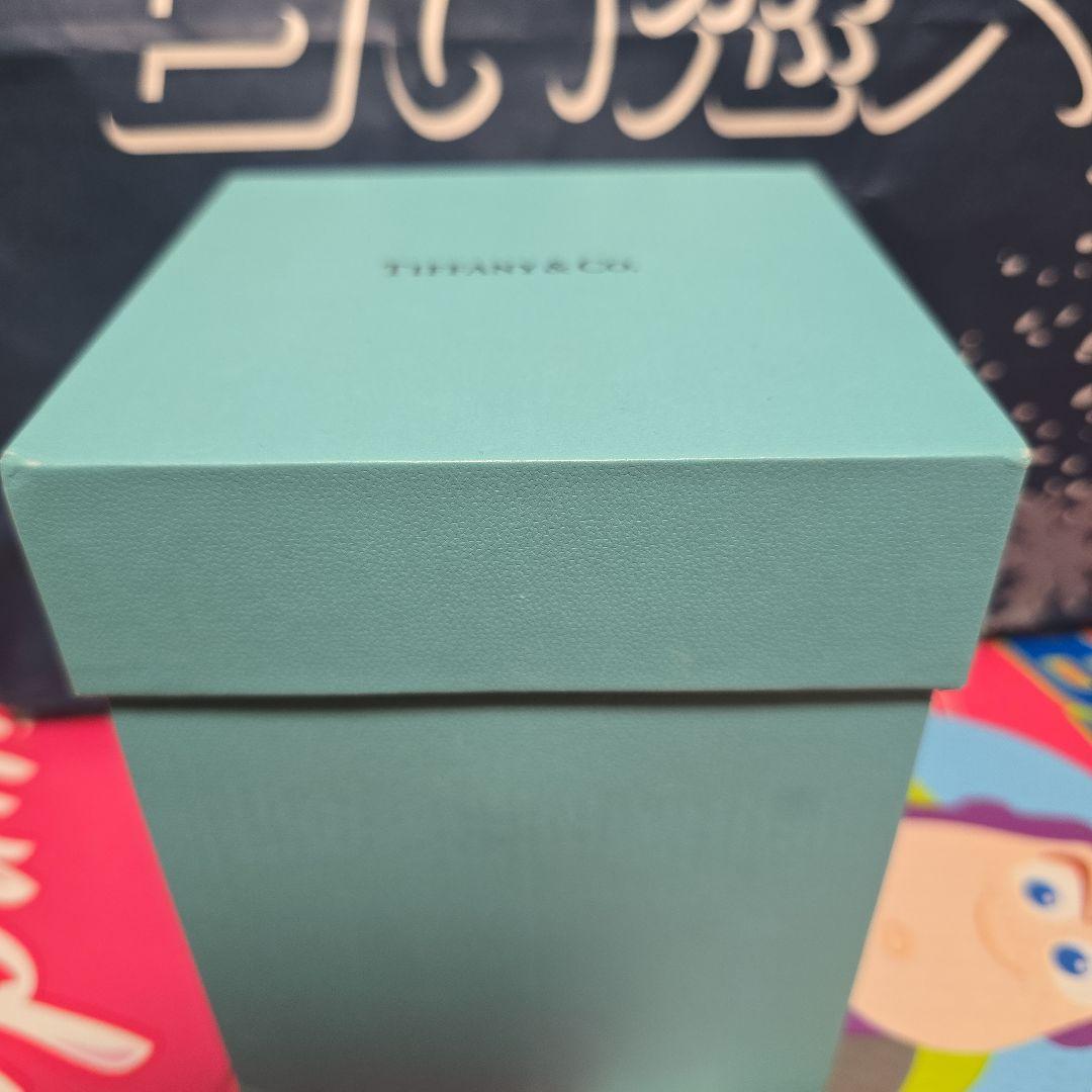 T*s様 Tiffany & Co. スノードーム リングボックス