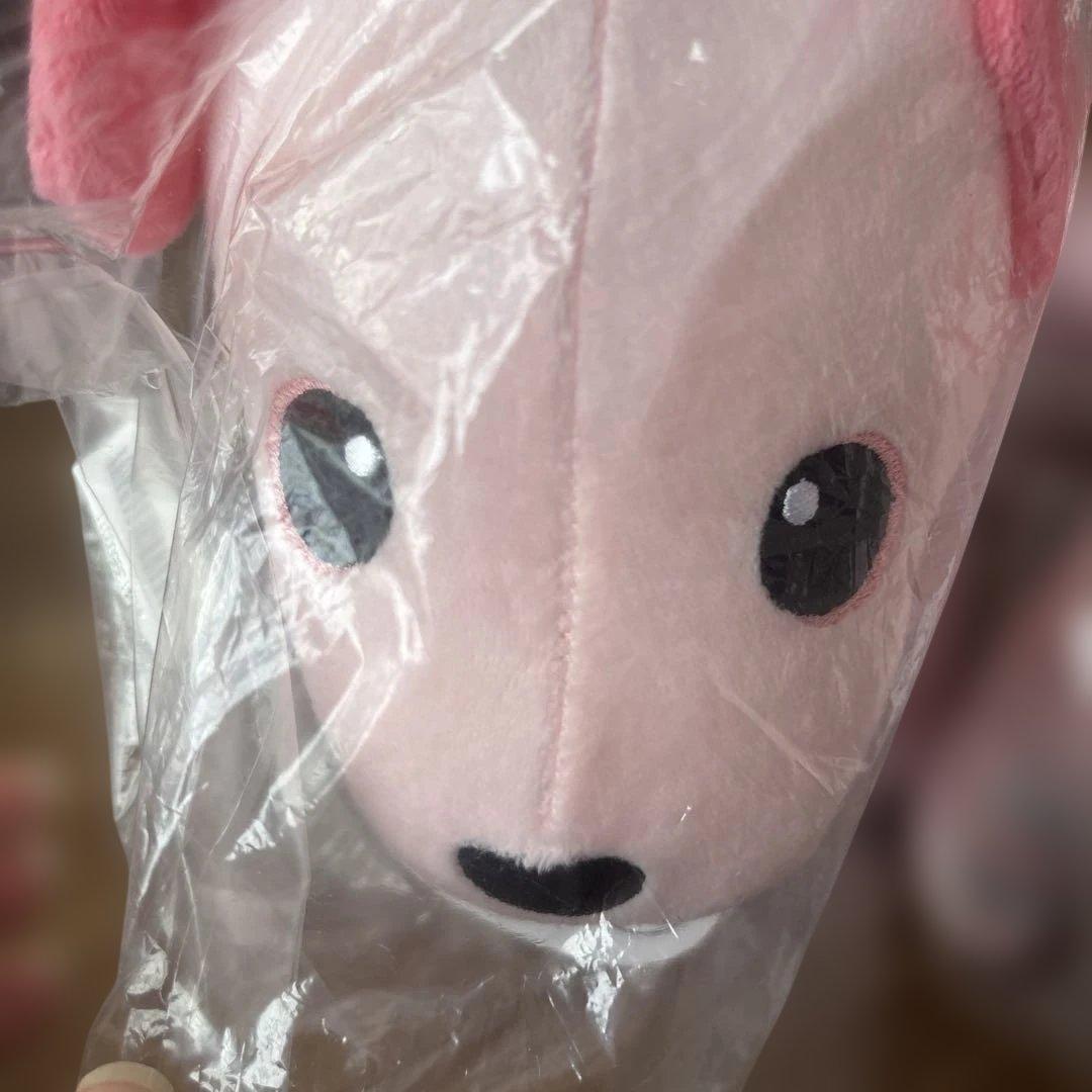 aibo アイボ　いちごミルク　レア