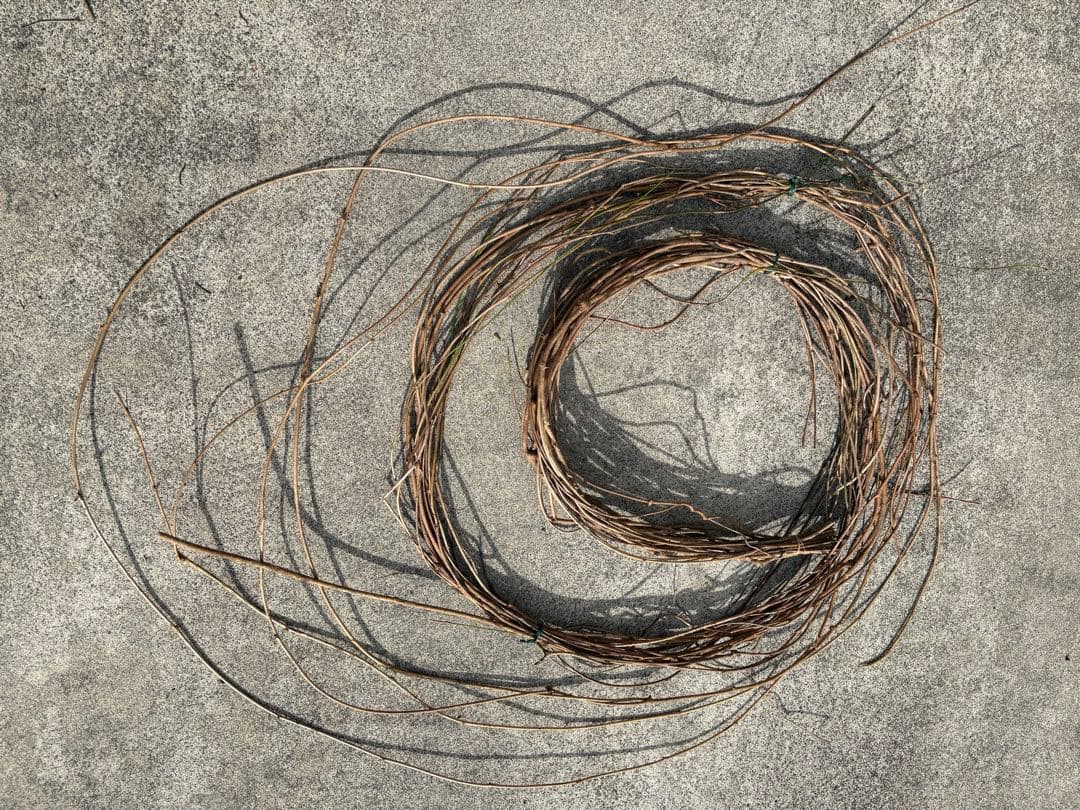 天然素材✴️ランナー 蔓✴️匍匐 つる✴️採りたて かご編み - メルカリ