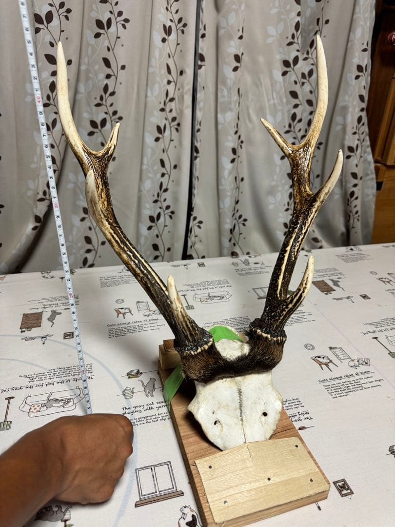 鹿の角　刀置き　オブジェ