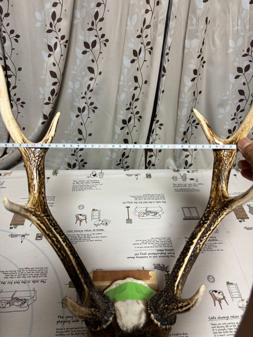 鹿の角　刀置き　オブジェ