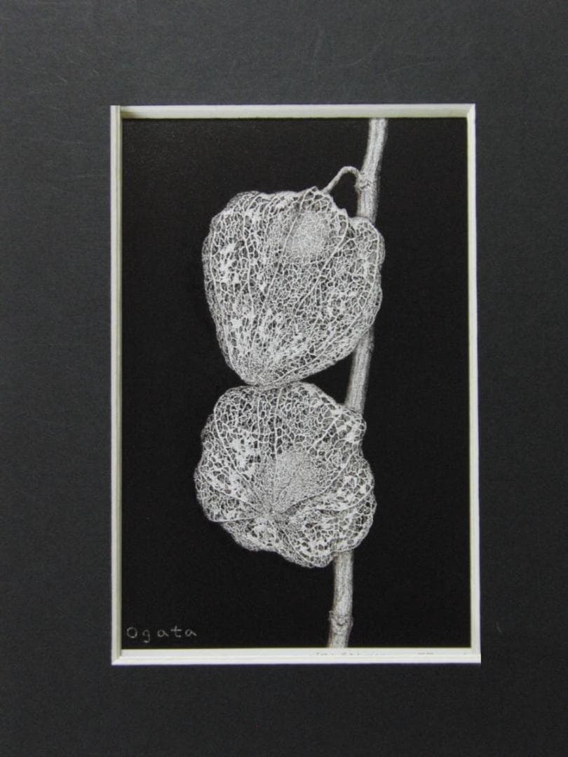 緒方洪章、【ほおずき】、希少な画集画、新品高級額・額装付、状態良好