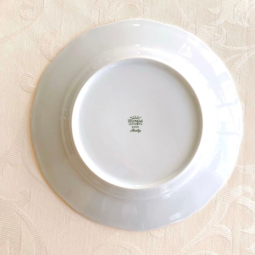 【希少】リチャードジノリ オリエントエクスプレス ペアプレート 24.5cm