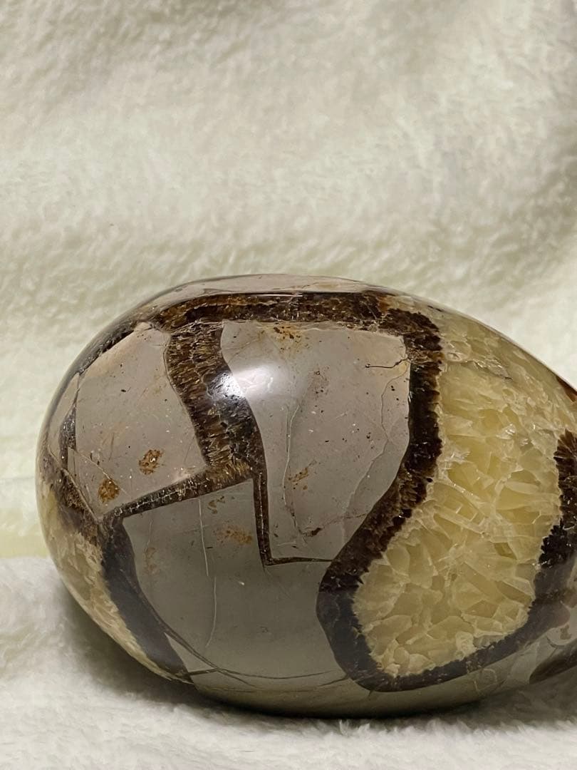 セプタリアン たまご形　存在感抜群の1kg台座付き