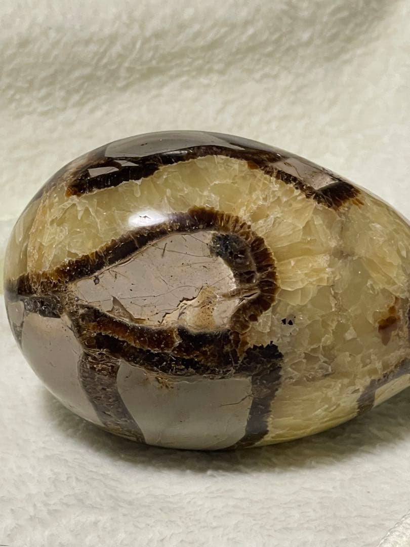 セプタリアン たまご形　存在感抜群の1kg台座付き