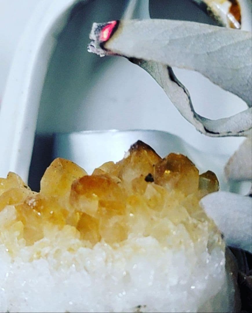 激安価格☆無農薬アウトレットホワイトセージリーフ1KGお香浄化業務用価額お得