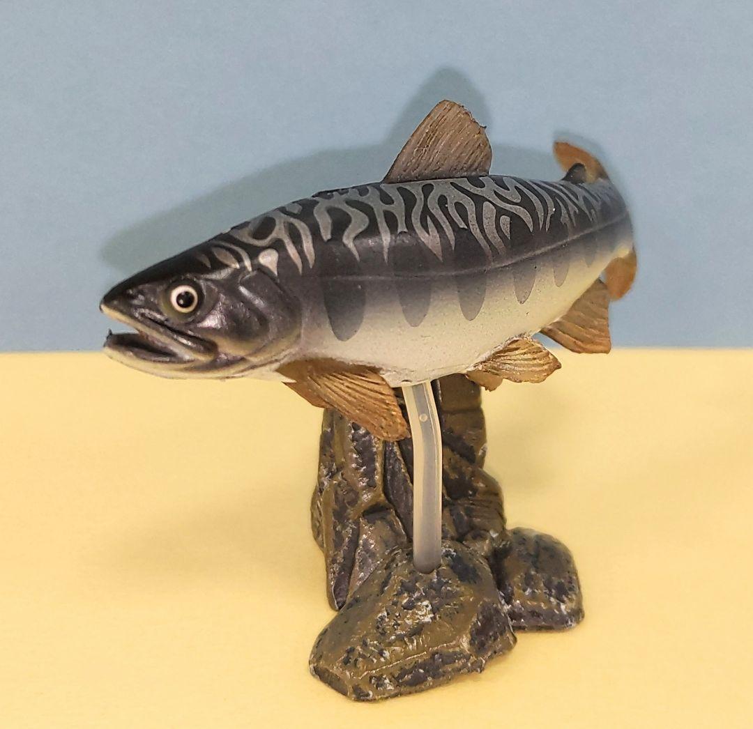 ヤマメ×アメマス 原色淡水魚図鑑 Ⅰ [ 改定版 ] 限定版 - メルカリ