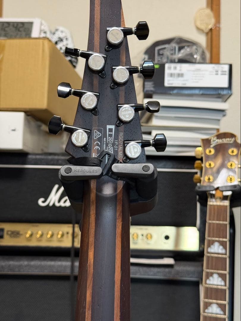 IBANEZ RGD71ALMS-BAM 7弦エレキギター グラデーション | 激安通販の