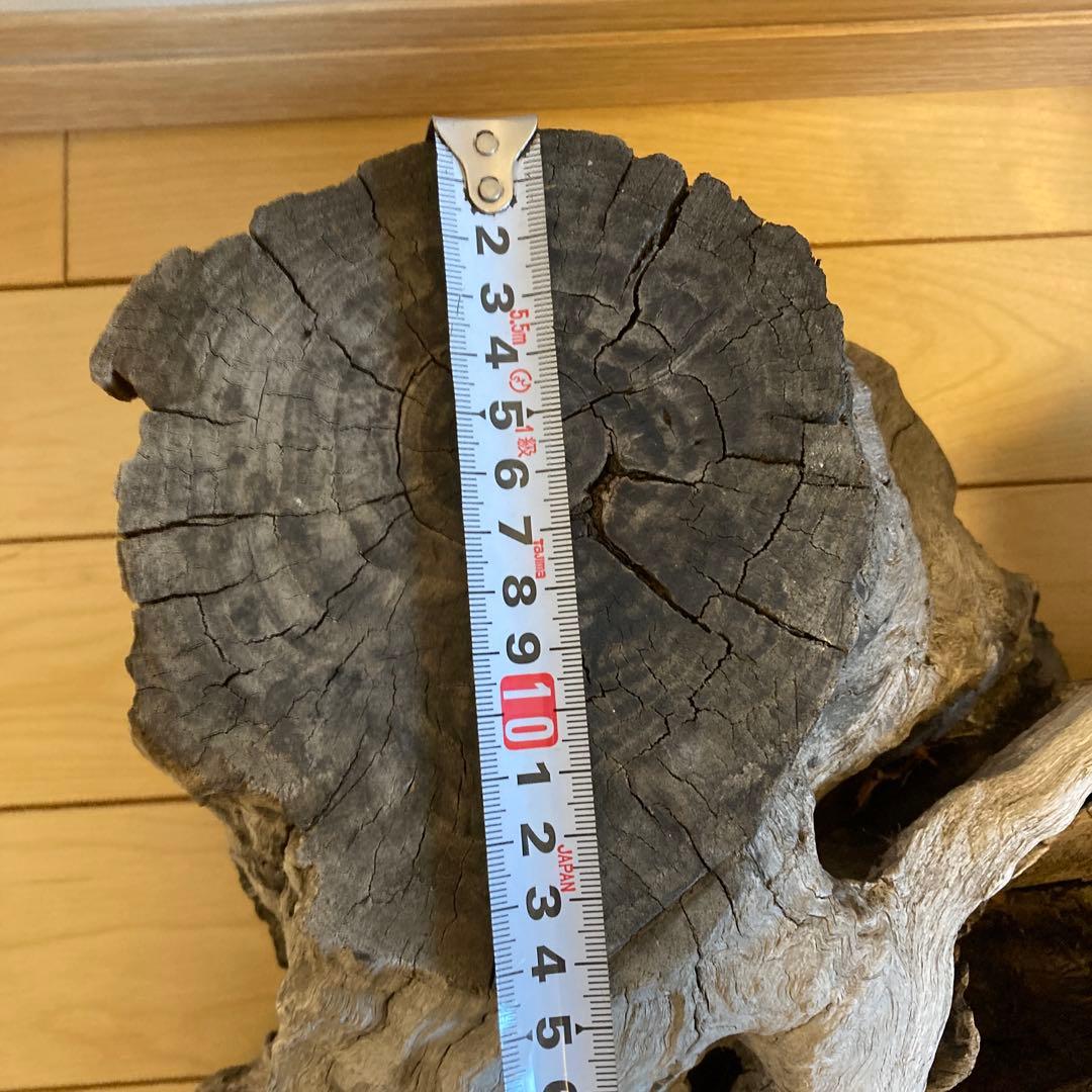 花台　木製花台　流木　古木　盆栽台　生花　天然木　多肉植物　寄植え　切り株　置物