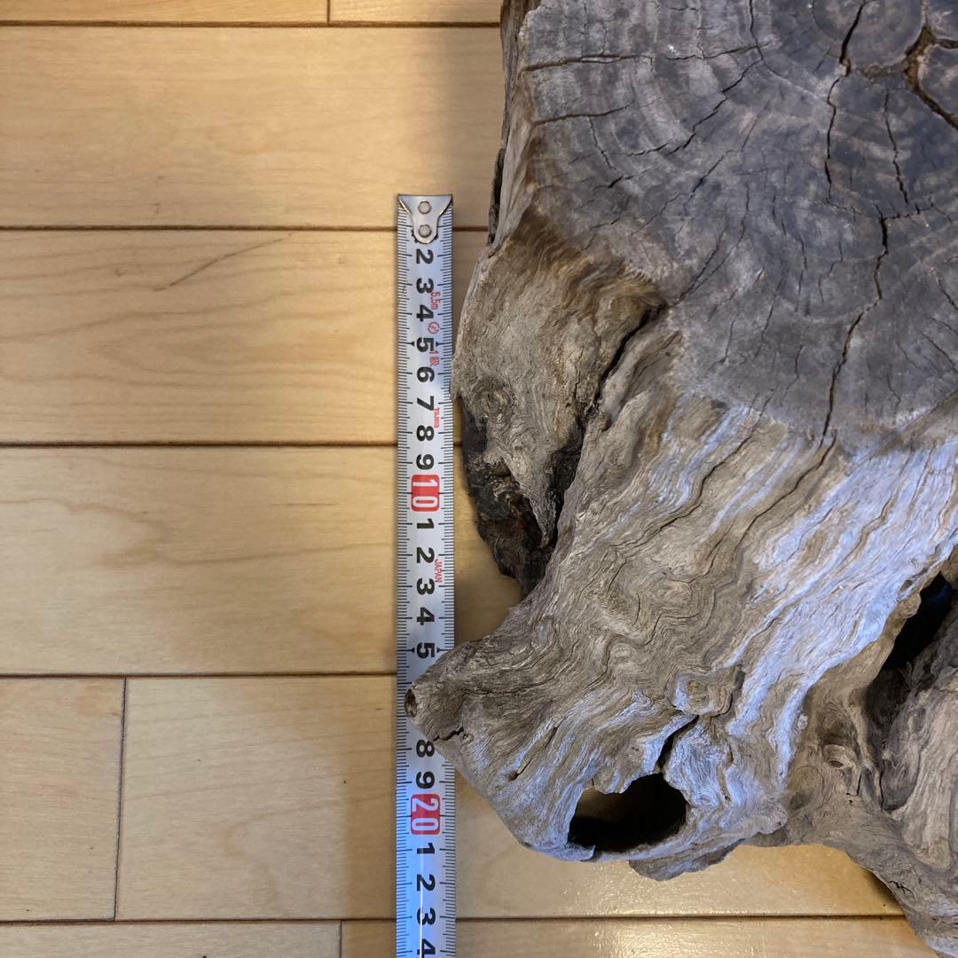 花台　木製花台　流木　古木　盆栽台　生花　天然木　多肉植物　寄植え　切り株　置物