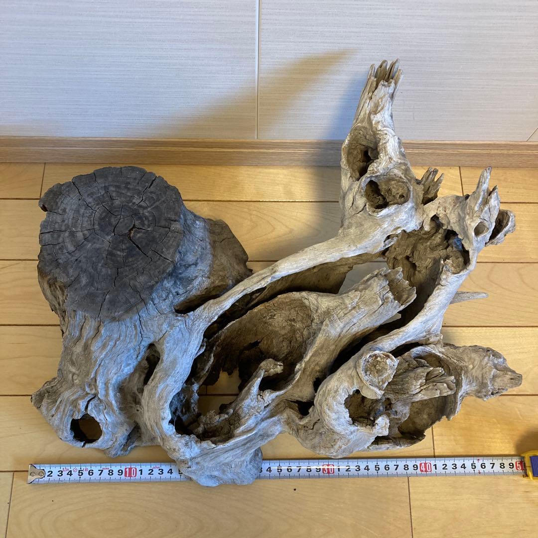 花台　木製花台　流木　古木　盆栽台　生花　天然木　多肉植物　寄植え　切り株　置物