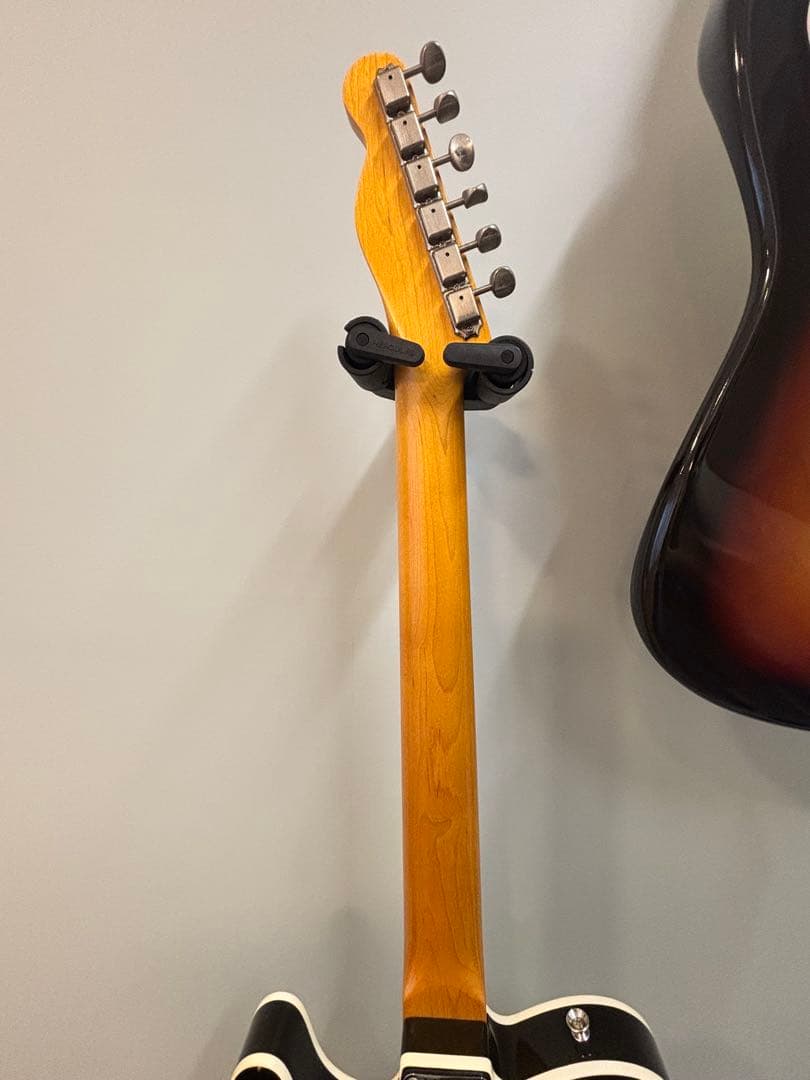 Vanzandt TLV-R2 【マダガスカルローズ指板】美品