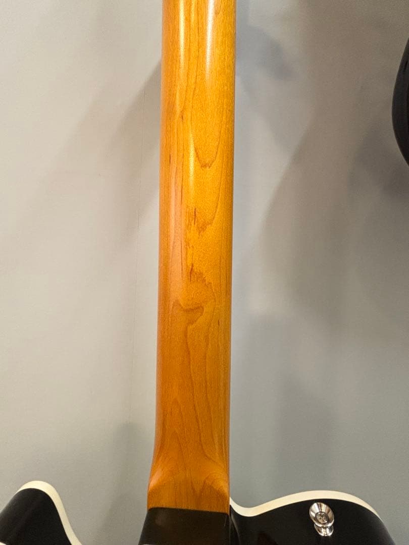 Vanzandt TLV-R2 【マダガスカルローズ指板】美品