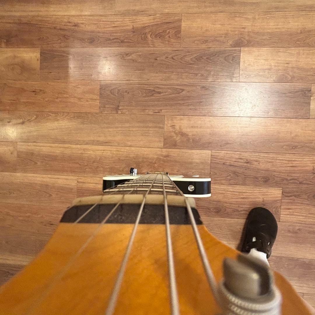 Vanzandt TLV-R2 【マダガスカルローズ指板】美品