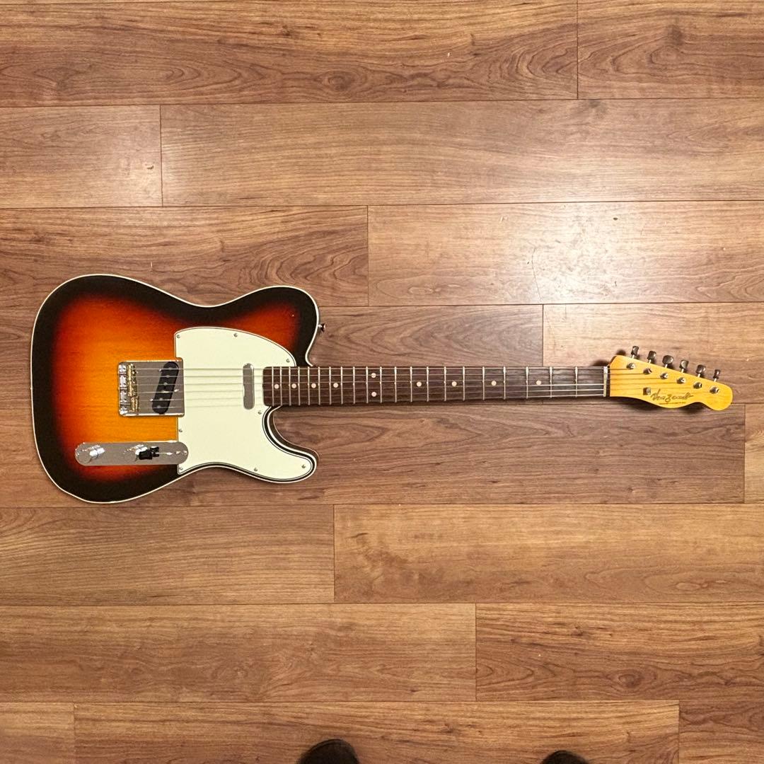 Vanzandt TLV-R2 【マダガスカルローズ指板】美品