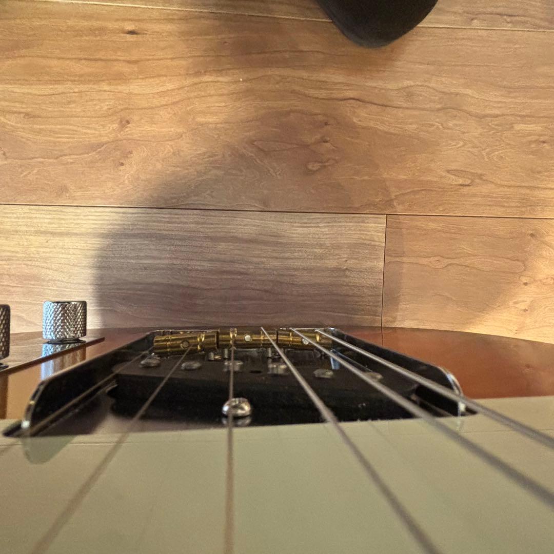 Vanzandt TLV-R2 【マダガスカルローズ指板】美品