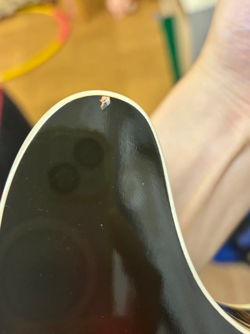 Vanzandt TLV-R2 【マダガスカルローズ指板】美品