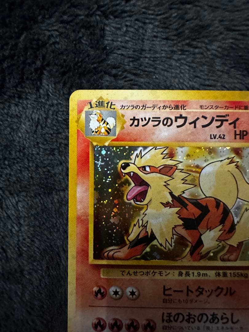 極美品 カツラのウィンディ 旧裏 - メルカリ