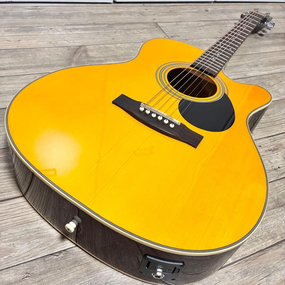 良品】HEADWAY HEC-48 SB エレアコ セミハードケース付