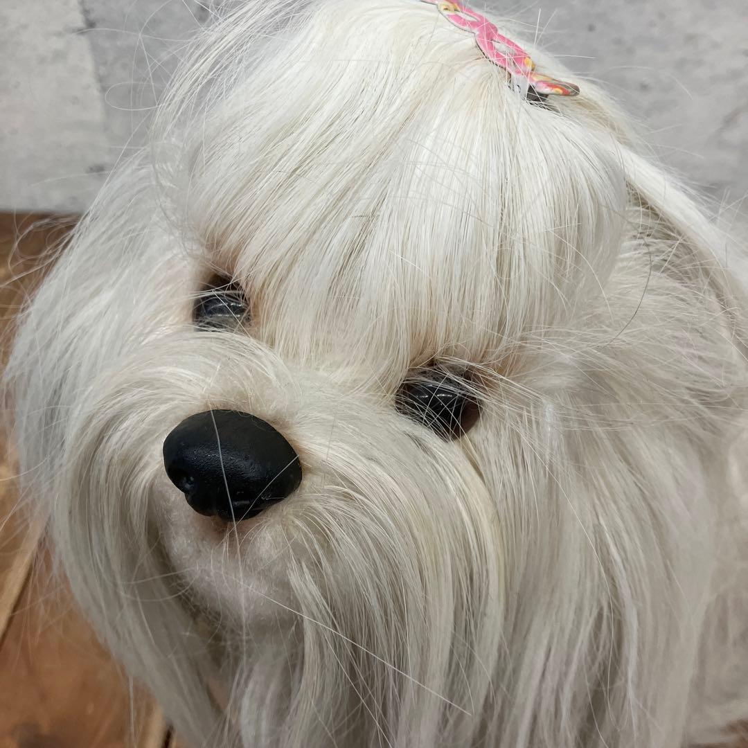 昭和レトロ マルチーズ 犬 dog リアル ぬいぐるみ 人形 インテリア