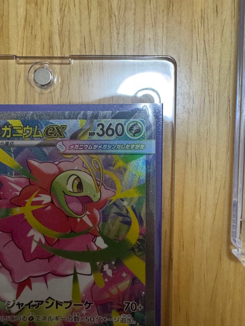 最終値下げメガメガニウムex メガエンブオーexメガオーダイルex No.101