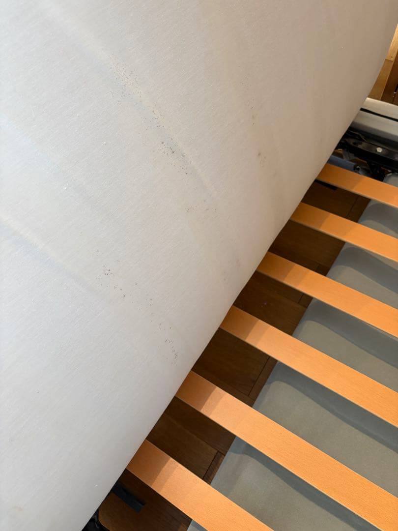 ligne roset リーンロゼ ロゼマルティ　ソファベッド