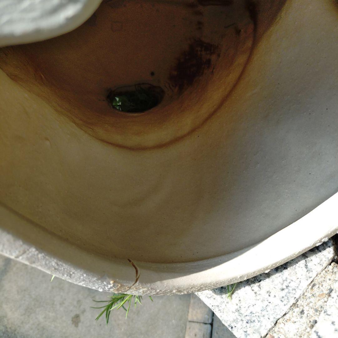 信楽焼　11号開運ふくろう付き福狸　11号福狸の2個セット