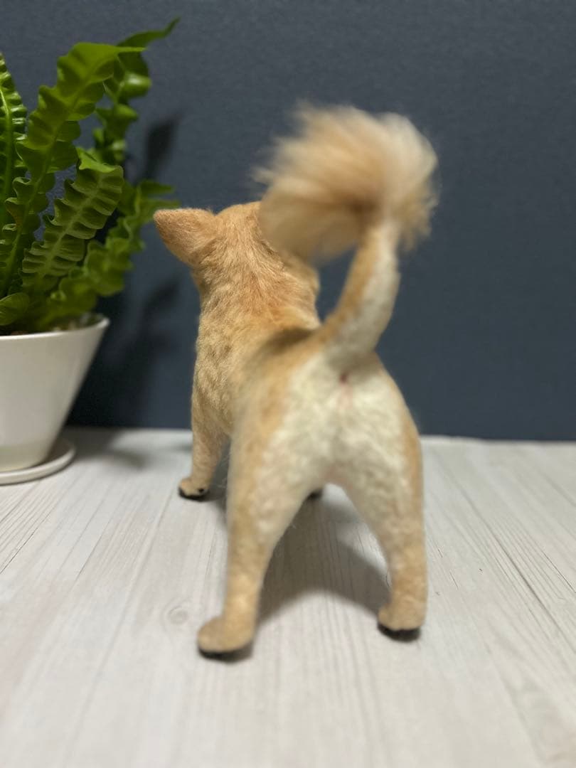 羊毛フェルト　チワワ　サマーカット