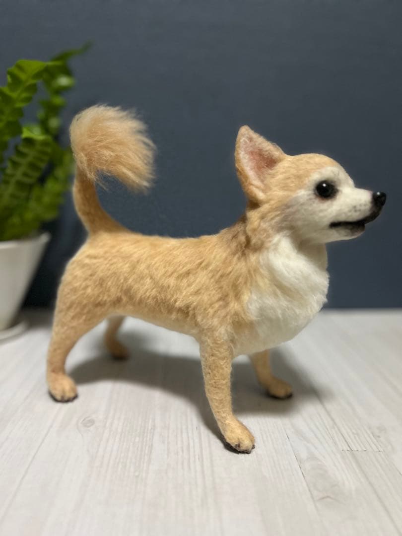 羊毛フェルト　チワワ　サマーカット