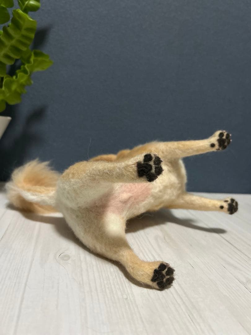 羊毛フェルト　チワワ　サマーカット