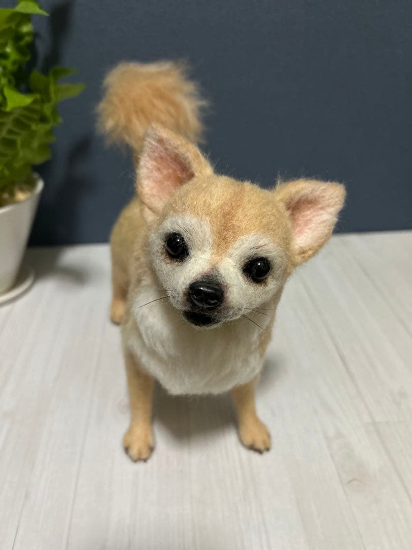 羊毛フェルト　チワワ　サマーカット