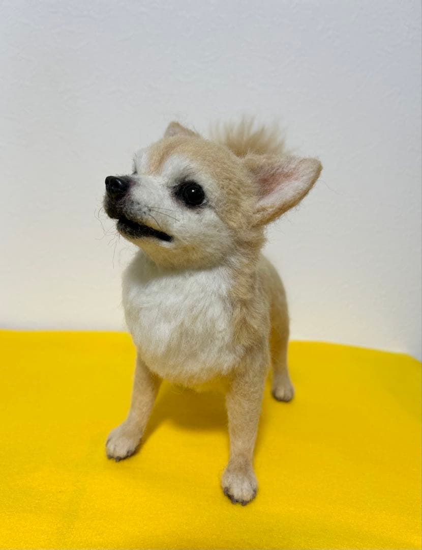 羊毛フェルト　チワワ　サマーカット