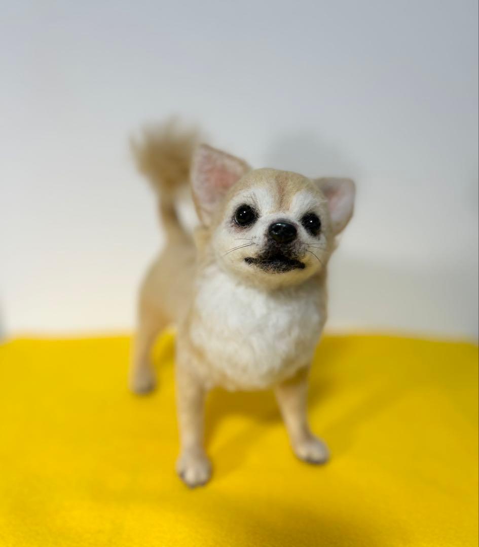 羊毛フェルト　チワワ　サマーカット